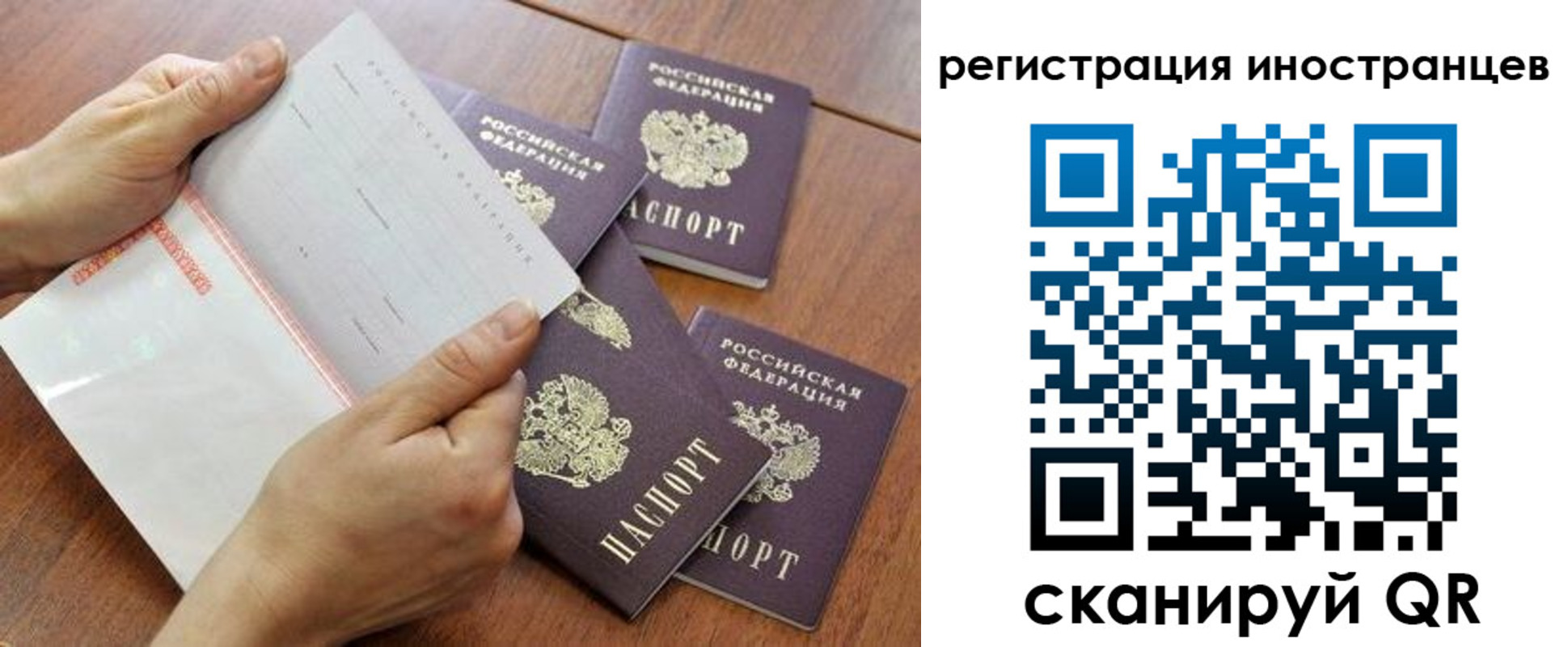 прописка поиск в Елабуге